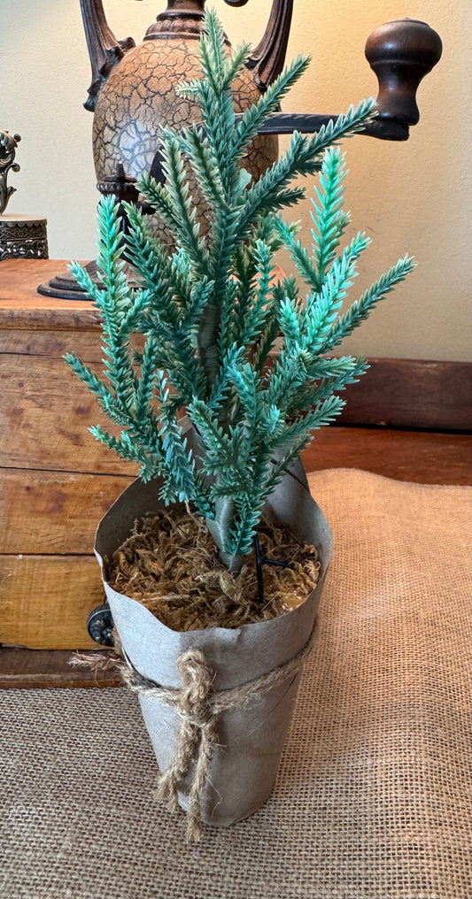 Tree