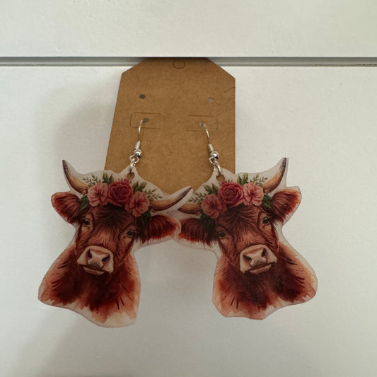 Highland Cow