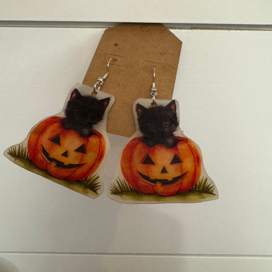 Kitten Pumpkin